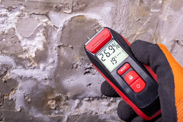 Pikesville, MD Mold Removal Company