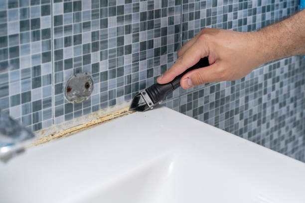 Best Black Mold Removal  in Pikesville, MD